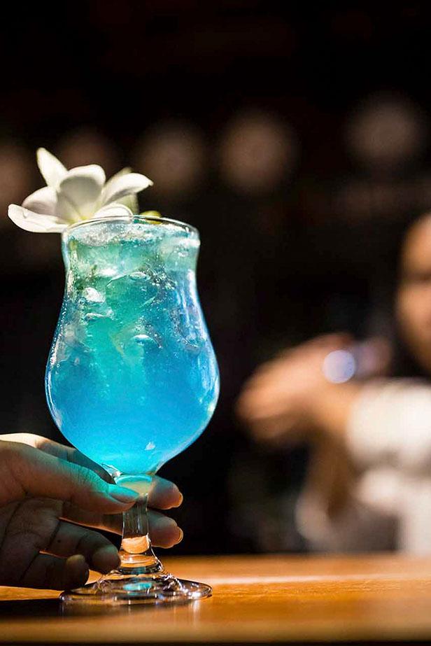 Cocktail of the Day